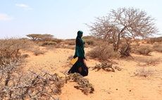 'A massive threat': El Niño could push almost 50 million people into acute hunger by the end of 2027