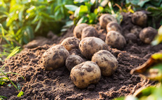 Promethean nears £53m Produce Investments take-private