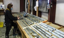  Geologist Talia Moum logging diamond drillcore from the namesake Talia discovery