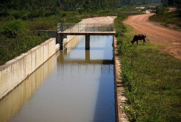 (Hello Africa) Chinese-built irrigation project transforming Kenyan farmers' livelihoods