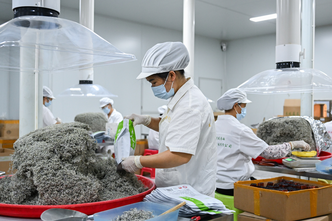 CHINA-HUBEI-ENSHI-LAIFENG-VINE TEA (CN)