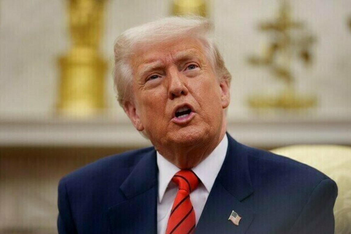 Trump looking to give up US command of NATO  NBC