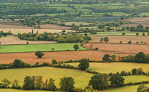 Farmland sees Q2 dip despite record-breaking prices