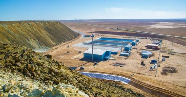 CAML reports steady production