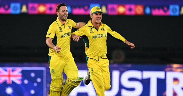 Australia to tour Zimbabwe for three-match ODI series ahead of 2027 World Cup