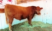 Beef Australia snags $2.5M grant