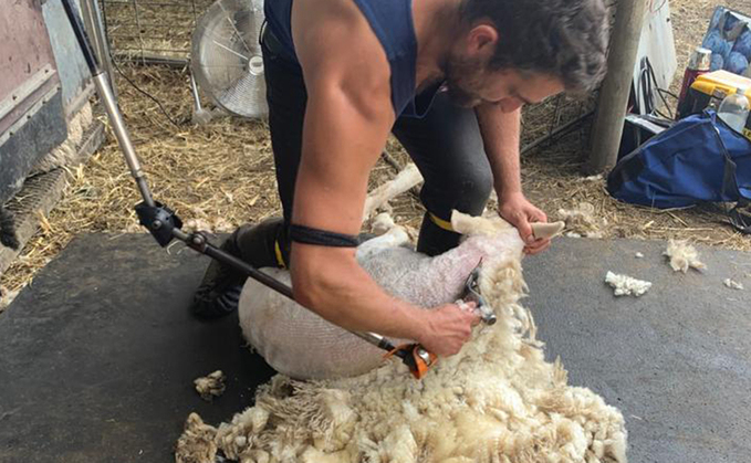 British Wool relaunches young farmer training offer