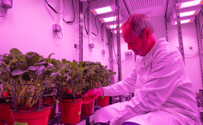 How UK scientists are working to help crops adapt to a warming world