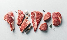 Portal da Mineracao Brasil Mineral Agência  