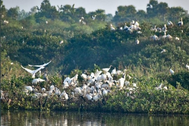 Tamil Nadu: six more wetlands get Ramsar recognition