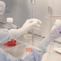 Yas Clinic - Khalifa City, Abu Dhabi Stem Cells Centre to administer first gene therapy infusion in UAE