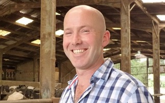 Cows may love jazz - but sheep prefer The Beach Boys, says farmer