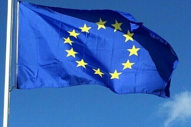 Arms trafficking in Ukraine will feed violence in criminal networks in European Union: EU Commissioner