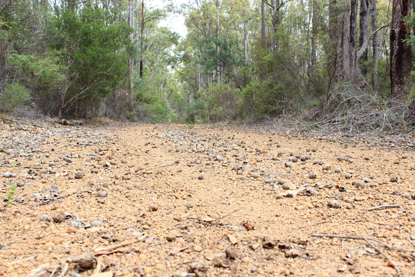 Alcoa to face public scrutiny for the first time