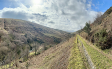 Isle of Man: The Wildlife Trusts take on largest rainforest restoration project to date