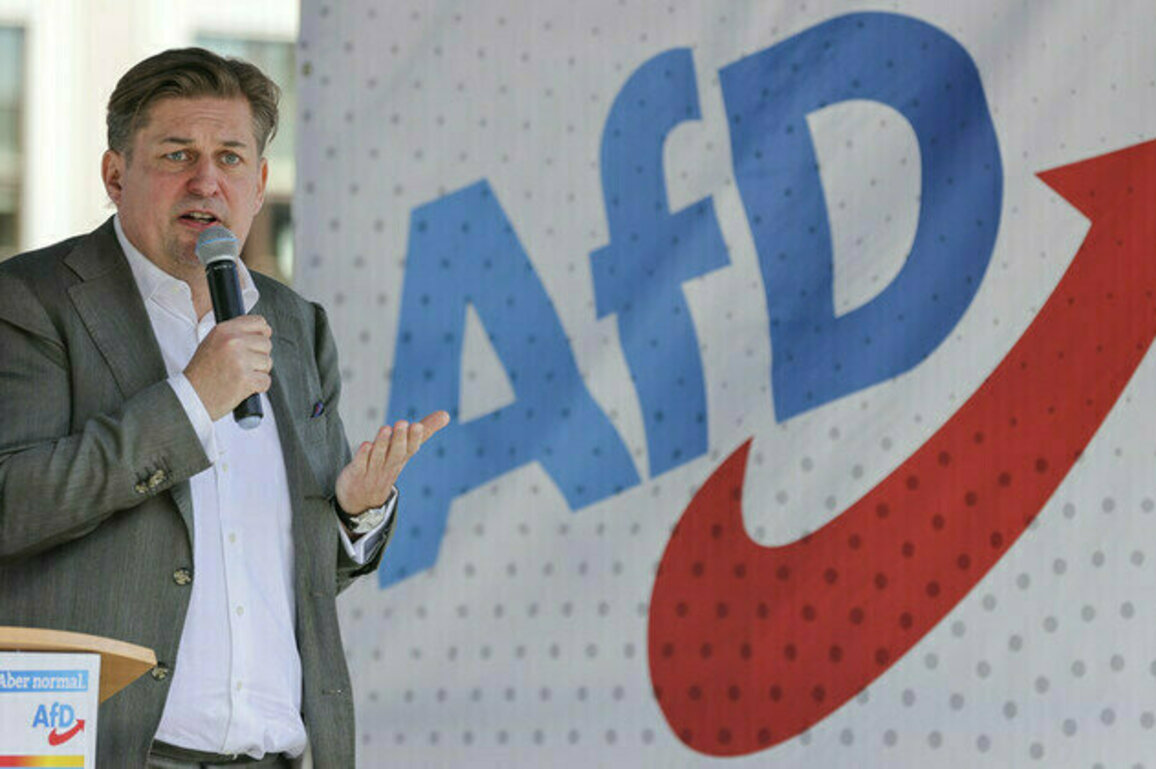 German priest sacks altar boy over photo with AfD politician