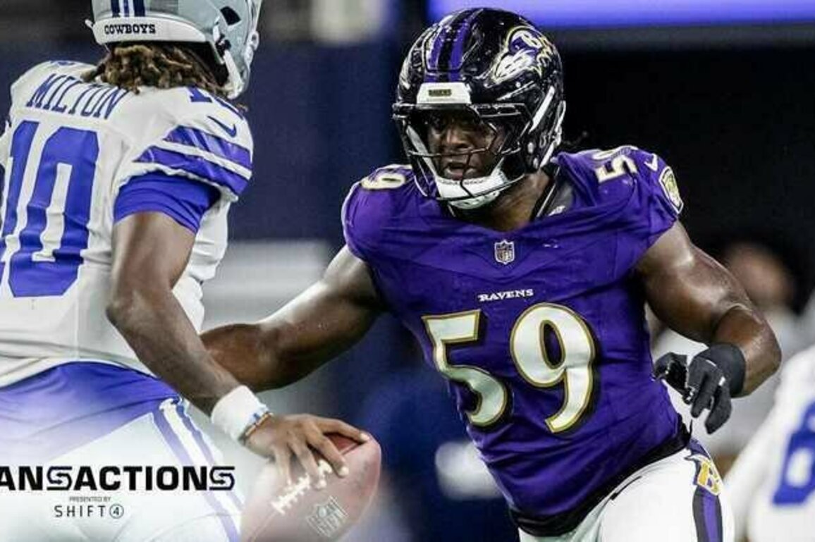 Ravens Lose Practice Squad Player to Panthers, Bring Back Malik Hamm
