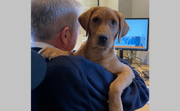 Francois barker boots the latest guide dog puppy in training 580x358.jpg