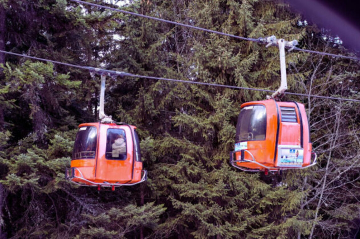 British Tourist Arrested for Assaulting Security Guard in Borovets