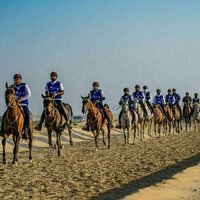 Butheeb Endurance Village hosts Al Etihad Endurance Cup for Private Owners tomorrow