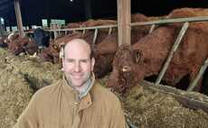 Partner Insight: Reducing feed costs by up to 50%