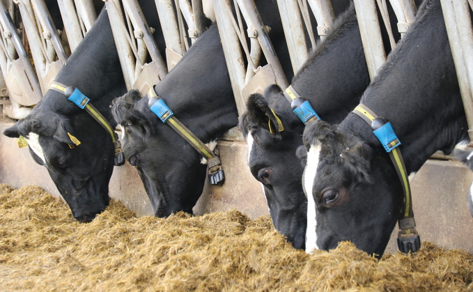 Taking the guesswork out of herd management