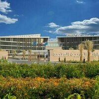 UAEU ranks first nationally, 201-250 globally in Times Higher Education World University Rankings