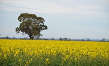  A new round of grant funding is available for farm safety projects. Picture Mark Saunders.