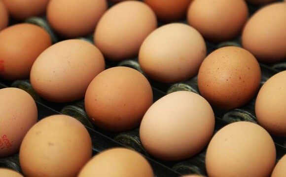 Covid-19 sees egg sector turbulence as retailers struggle to meet soaring demand