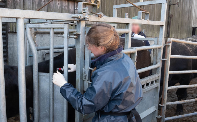 Bovine TB is a huge worry to farmers