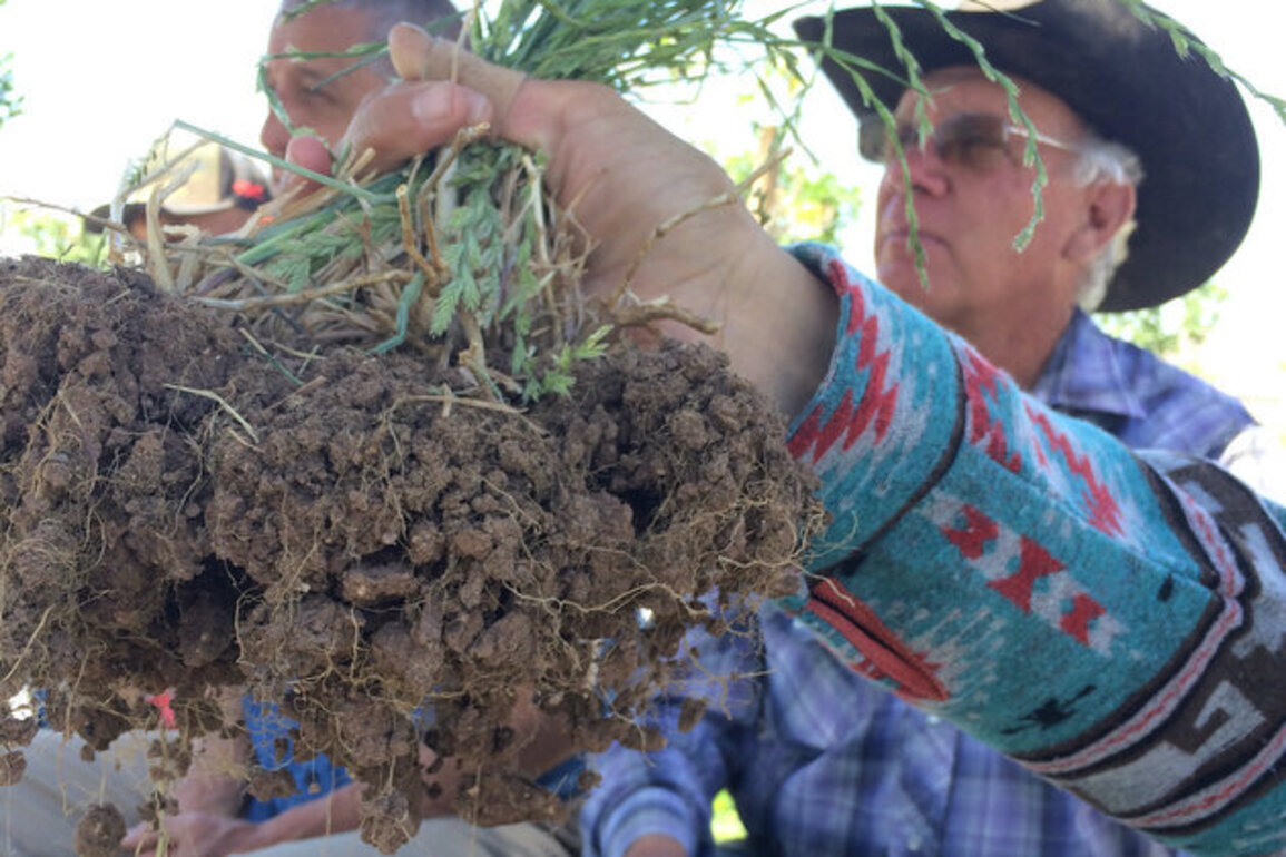 NM's tax filers can improve soil, food quality with refund dollars