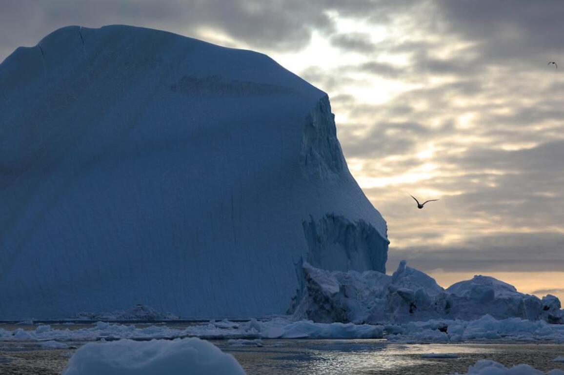 EU, NATO allies rally behind Greenland amid rising Arctic tensions