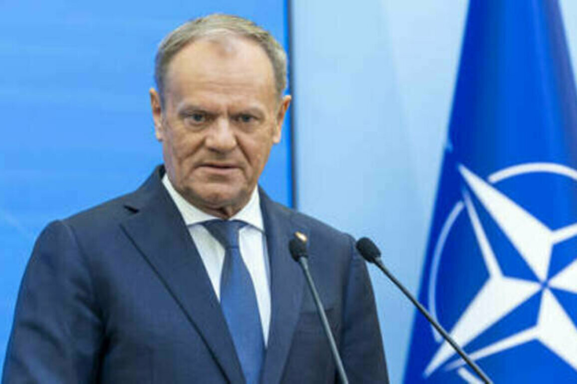 Poland asks NATO to invoke 'Article 4' - Tusk