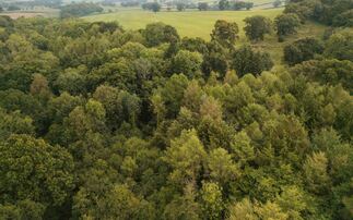 Tesco partners with Forestry England to restore woodland in Somerset