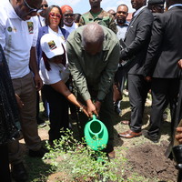 GHANA-ACCRA-WORLD ENVIRONMENT DAY-TREE PLANTING PROGRAM