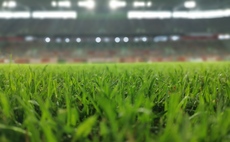 'There are sharks out there': V11 footballer plight highlights professional athlete financial vulnerability