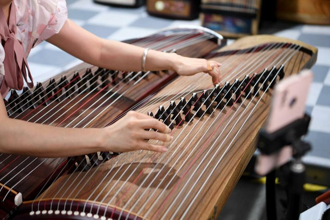 Passion for traditional zither grows in central China's once barren land