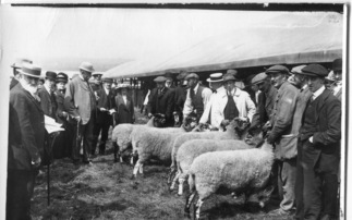 FG 180: Through world wars and farming disasters, agricultural shows stay strong