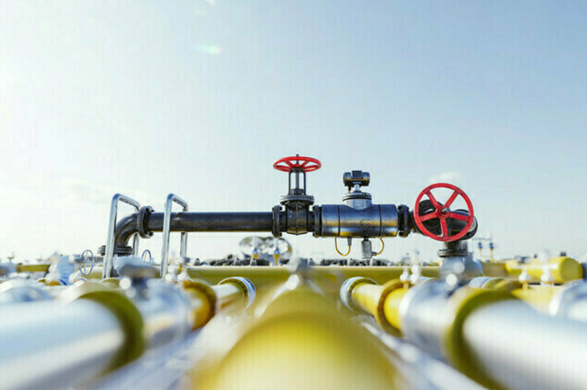 EU country taps record volume of Russian gas