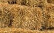 Rains lead to dangerous mouldy hay
