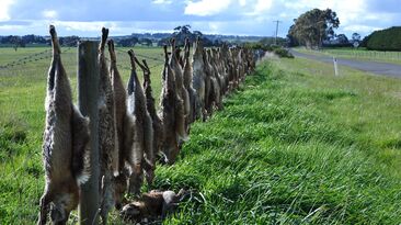 NSW Farmers accused the State Government of ignoring farmers' needs in its proposed firearms reforms.