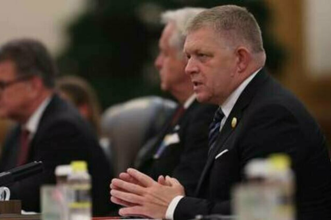 EU 'shooting itself in the knee' - Slovak PM