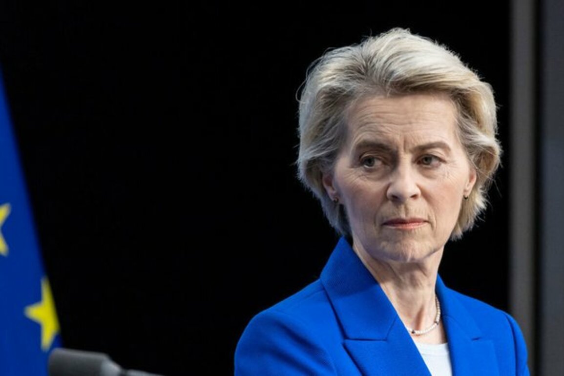 EU states fed up with von der Leyen Politico