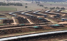 Australian cattle herd rebuild continues