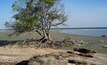 The Embley River near Weipa, Queensland.