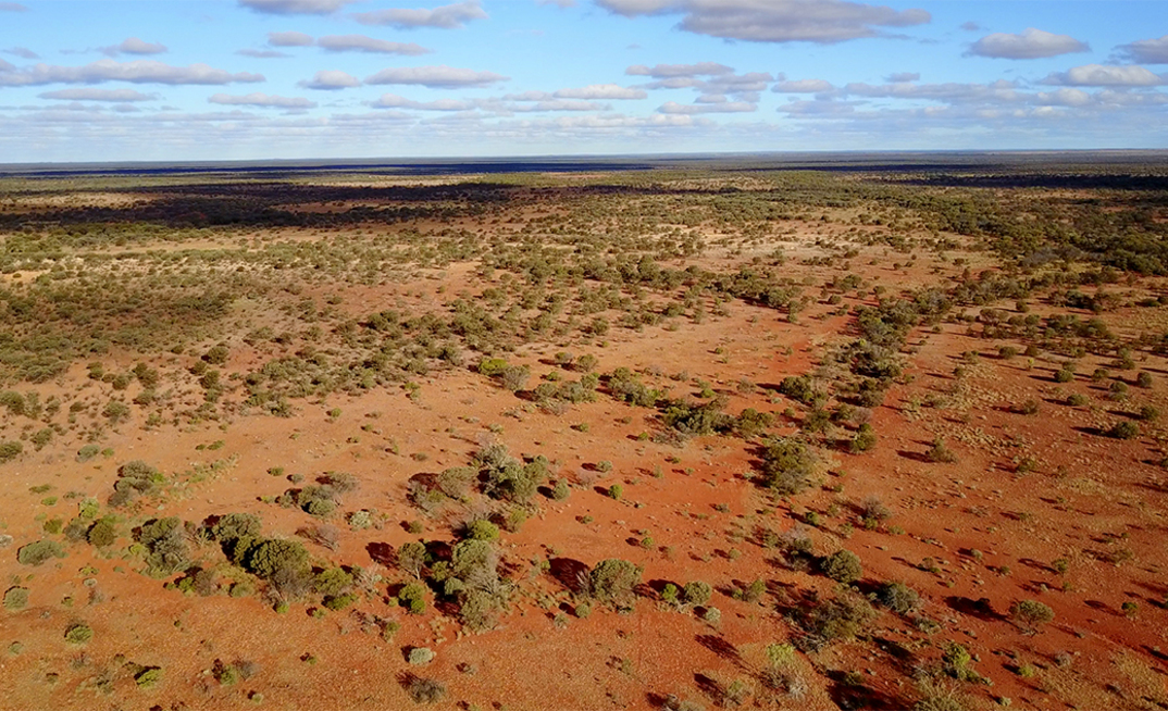 Great Western deals out Yandal West to Albion