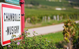 Global equities, Château Screwtop and a nose for opportunity