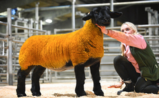 Howgillfoot hits the headlines