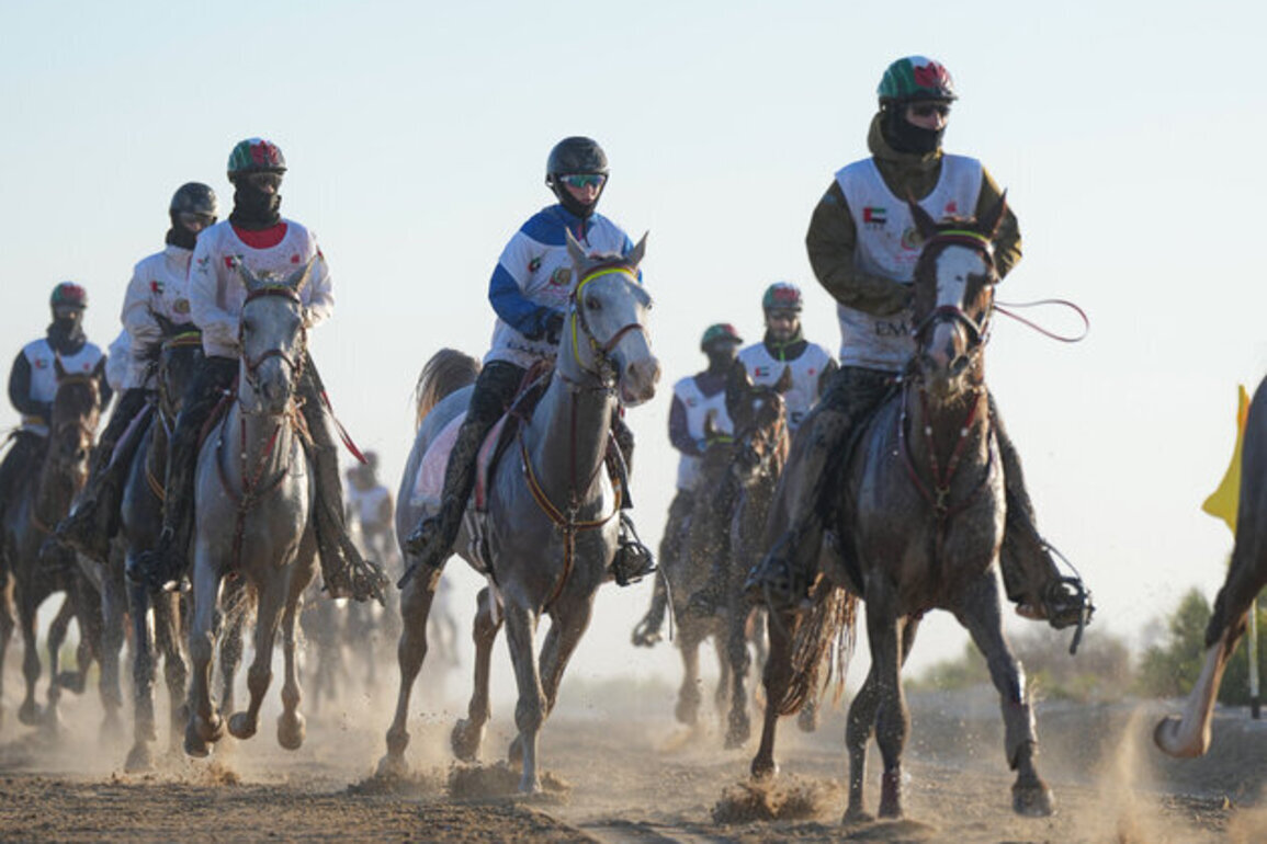 Crown Prince of Dubai Endurance Festival's 18th edition starts countdown to grand finale