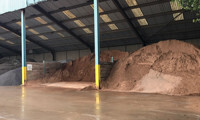 Express Asphalt exceeds expectations with record sales